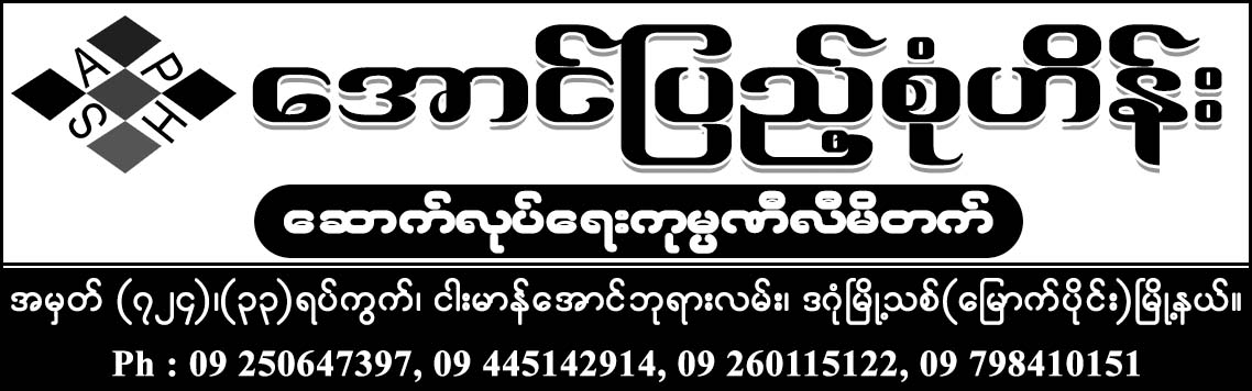 Aung Pyae Sone Hein Construciton Co., Ltd.
